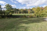 Canadian Grassland: A Haven for Woody Plants and Vegetation