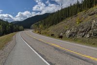 Canadian Landscape in Alberta: Mountains and Forest