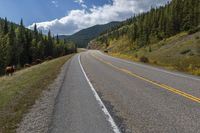 Canadian Landscape in Alberta: Mountains and Forest