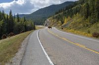 Canadian Landscape in Alberta: Mountains and Forest