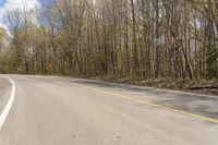 the yellow lines on the road are where there is a stop sign on it, with many trees in front