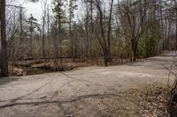 a dirt road with a forest near it and some trees on the side of it