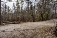 a dirt road with a forest near it and some trees on the side of it