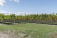 Canadian Landscape: A Day with Clear Skies