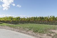 Canadian Landscape: A Day with Clear Skies