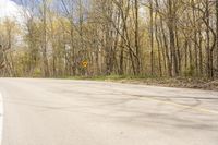 Canadian Landscape: Daytime Green Vegetation