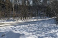 Canadian Landscape: Forest Road Nature