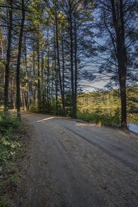 a dirt road through a wooded area near a large grassy area and trees at dusk