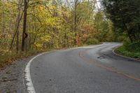 Canadian Landscape: Forest Road near Toronto