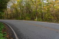 an empty road in the forest with no leaves on the ground and trees lined up with yellow leaves