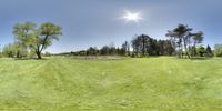 a field filled with green grass and trees under a blue sky near the sun with some clouds