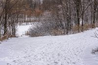 a person on a snow board on snow covered ground and trees with no leaves in sight