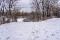 a person on a snow board on snow covered ground and trees with no leaves in sight