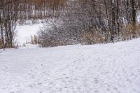 a person on a snow board on snow covered ground and trees with no leaves in sight