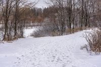 a person on a snow board on snow covered ground and trees with no leaves in sight