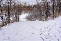 a person on a snow board on snow covered ground and trees with no leaves in sight