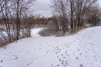 a person on a snow board on snow covered ground and trees with no leaves in sight