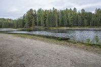 there are some trees on the side of the lake that surround this road and a wooden bench