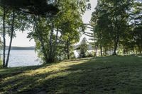 a grassy hill next to water and several trees in the background with a light shining down