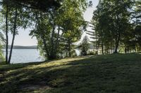 a grassy hill next to water and several trees in the background with a light shining down