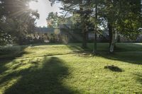 a green lawn with some trees and sunlight shining through the trees to its left and into the yard, with the grass in the foreground is green and a lawn below