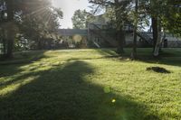 a green lawn with some trees and sunlight shining through the trees to its left and into the yard, with the grass in the foreground is green and a lawn below