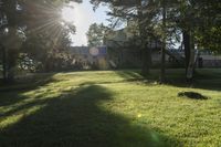 a green lawn with some trees and sunlight shining through the trees to its left and into the yard, with the grass in the foreground is green and a lawn below