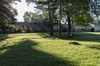 a green lawn with some trees and sunlight shining through the trees to its left and into the yard, with the grass in the foreground is green and a lawn below