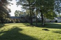 a green lawn with some trees and sunlight shining through the trees to its left and into the yard, with the grass in the foreground is green and a lawn below