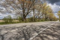 the empty street is lined with trees in the country side view and sky background with clouds