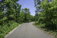 Canadian Landscape with Lush Vegetation and Trees