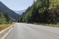 Canadian Landscape: Mountain Forest