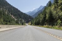 Canadian Landscape: Mountain Forest