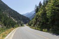 Canadian Landscape: Mountain Forest