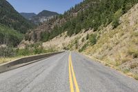 Canadian Landscape: Mountain Forest in British Columbia