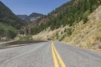 Canadian Landscape: Mountain Forest in British Columbia