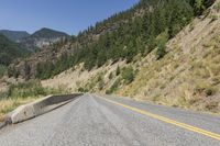 Canadian Landscape: Mountain Forest in British Columbia