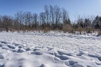 Canadian Landscape: Nature in Ontario