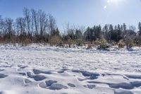 Canadian Landscape: Nature in Ontario