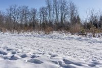 Canadian Landscape: Nature in Ontario