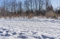 Canadian Landscape: Nature in Ontario