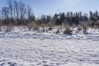 Canadian Landscape: Nature in Ontario