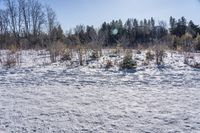 Canadian Landscape: Nature in Ontario