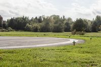 Canadian Landscape: Nature, Tree, Grass 002