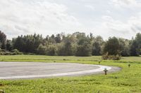 Canadian Landscape: Nature, Tree, Grass 003