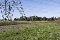 an old tractor sits under an over - grown, electric power line with a large utility tower