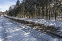 the road is surrounded by snowy trees and pine trees as well as snow on the ground