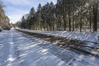 the road is surrounded by snowy trees and pine trees as well as snow on the ground