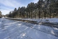 the road is surrounded by snowy trees and pine trees as well as snow on the ground