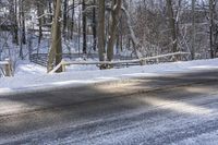 Canadian Landscape in Ontario: Forest Road